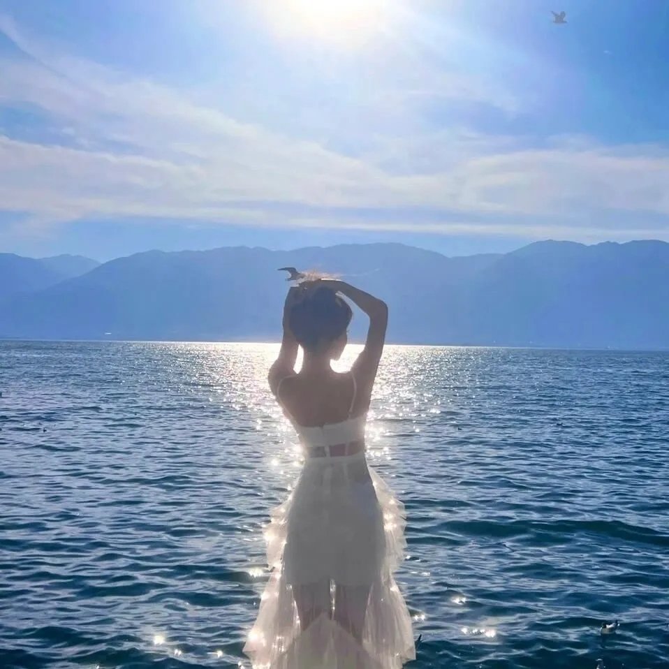 湖心骇客